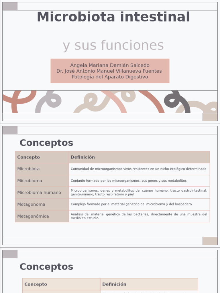 Microbiota Intestinal y Sus Funciones | PDF | Sistema inmune | Salud y ...