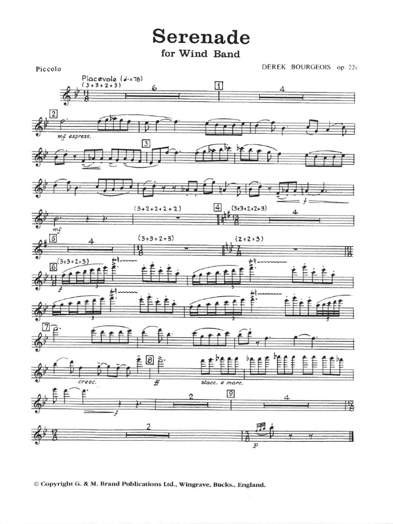Derek Bourgeois - Serenade For Wind Band | PDF