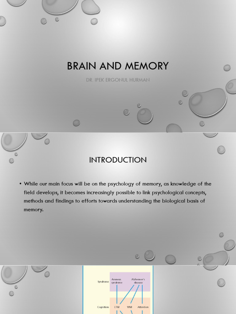 Human+Memory_week_2 | PDF