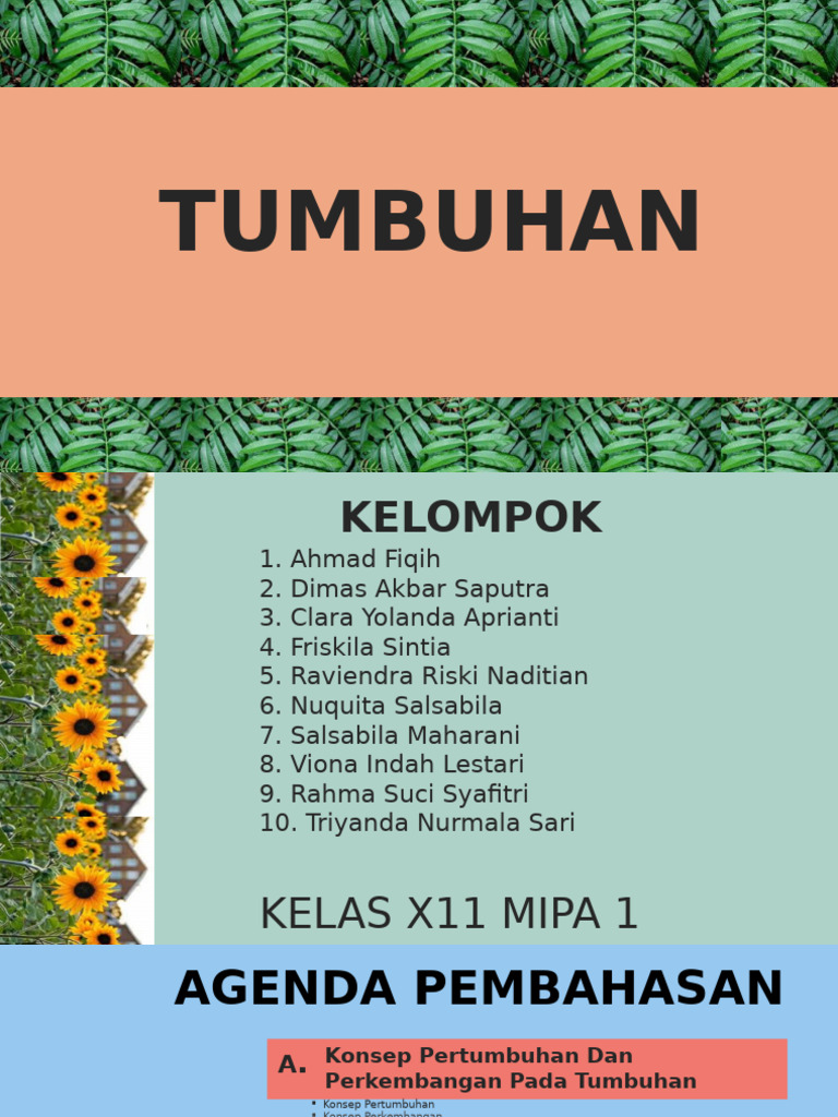 Ppt Tumbuhan Pdf