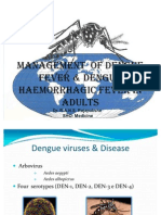 Management of Dengue Fever &amp Dengue H'Gic Fever in Adult