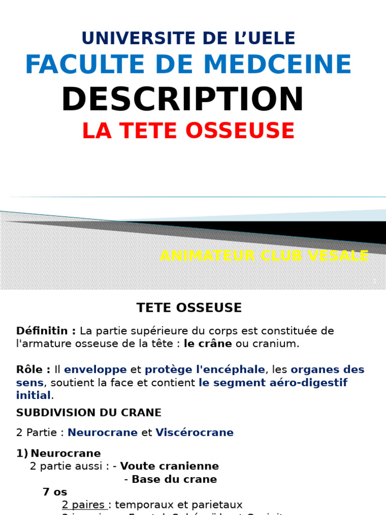 Vesal La Tete-1 | PDF