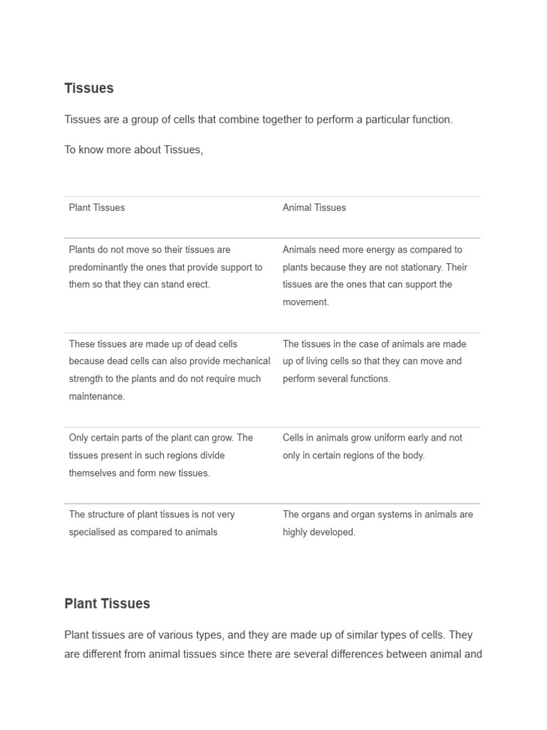 Tissue | PDF