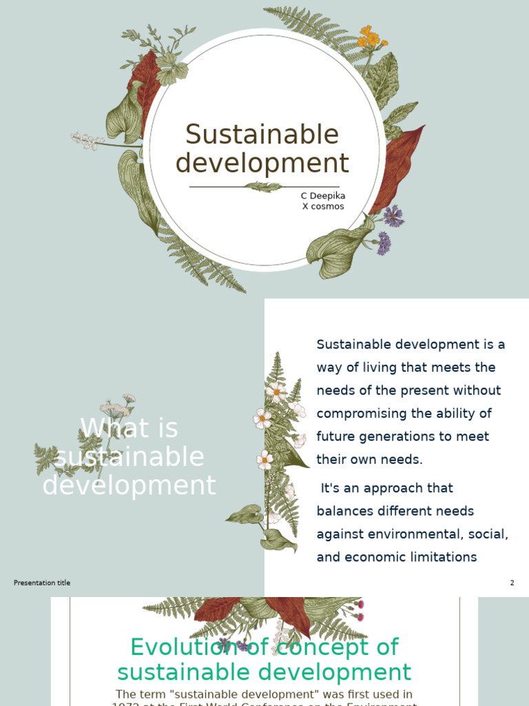Sustainable Development | PDF