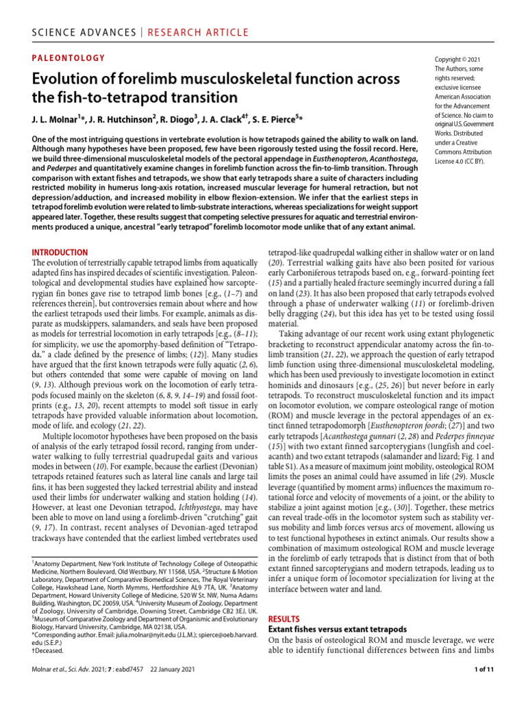 Molnar Et Al. 2021 Evolution of Forelimb Musculoskeletal Function ...