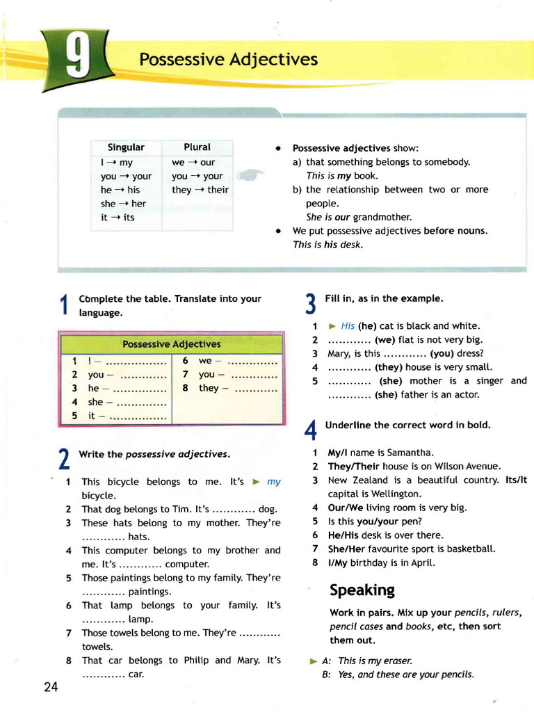 Possessive | PDF