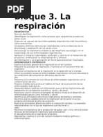 Bloque 3 La Respiracion