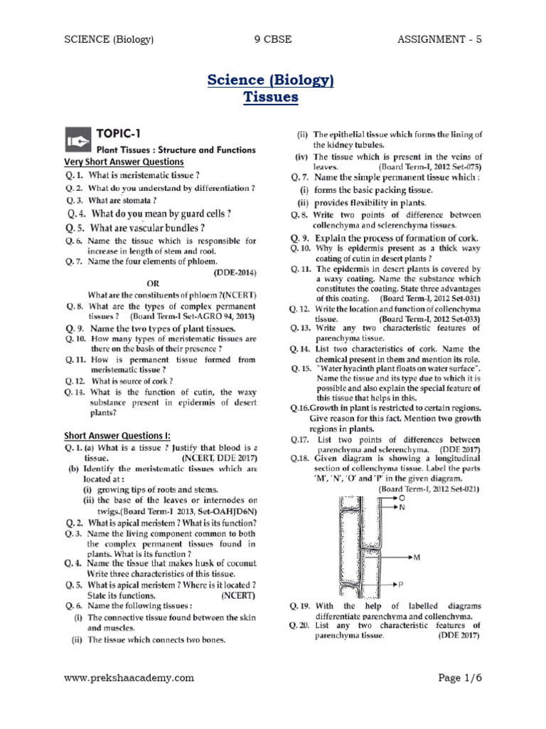 CBSE Class 9 Biology Assignment 5 | PDF | Science & Mathematics ...