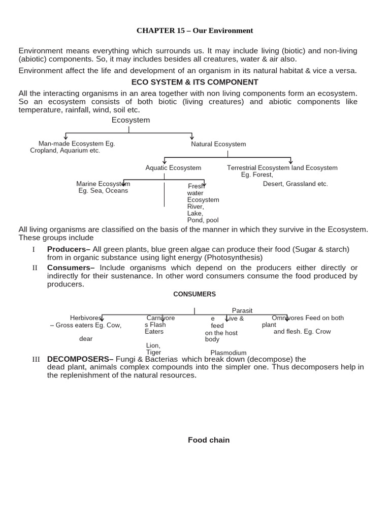 15 Our Environment 1 | PDF