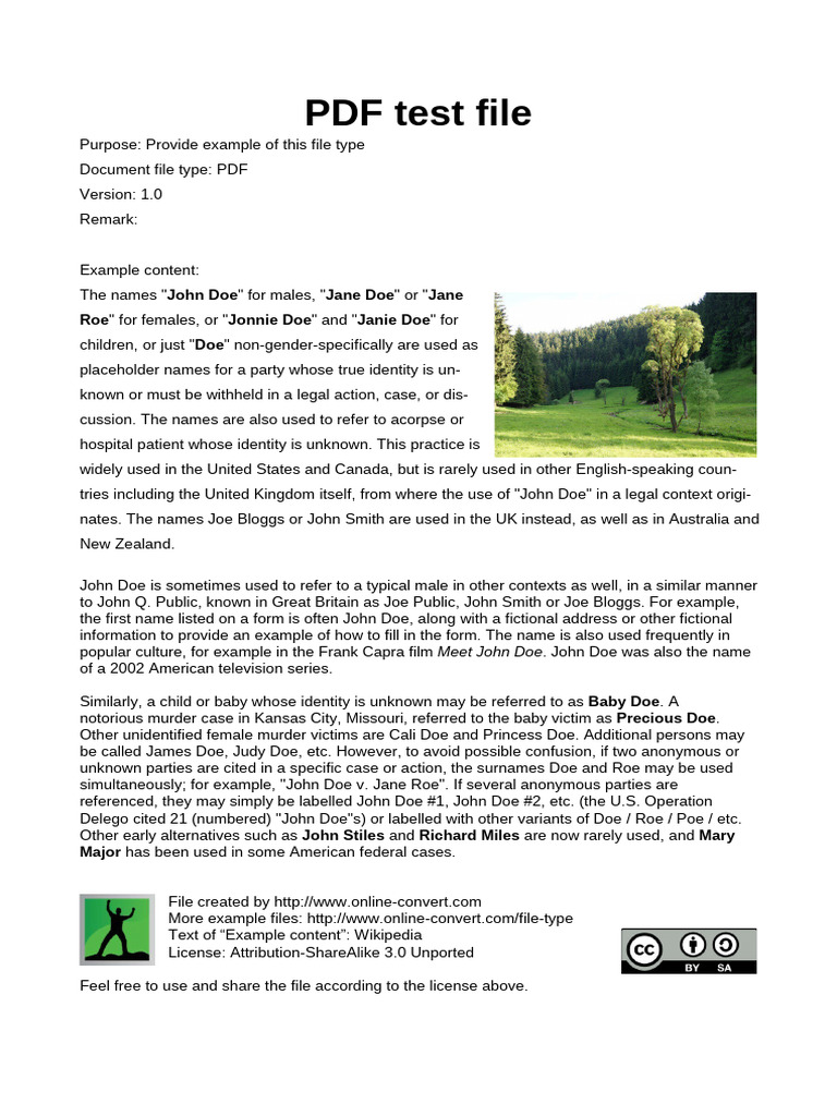 Example | PDF
