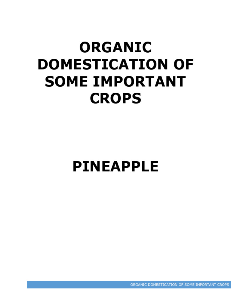 Pineapple Pdf