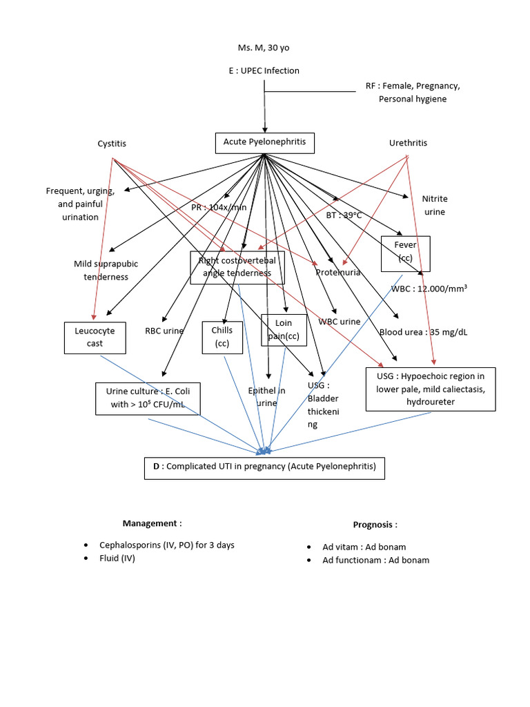 Case 6 acute pyelonephritis fixxx pdf