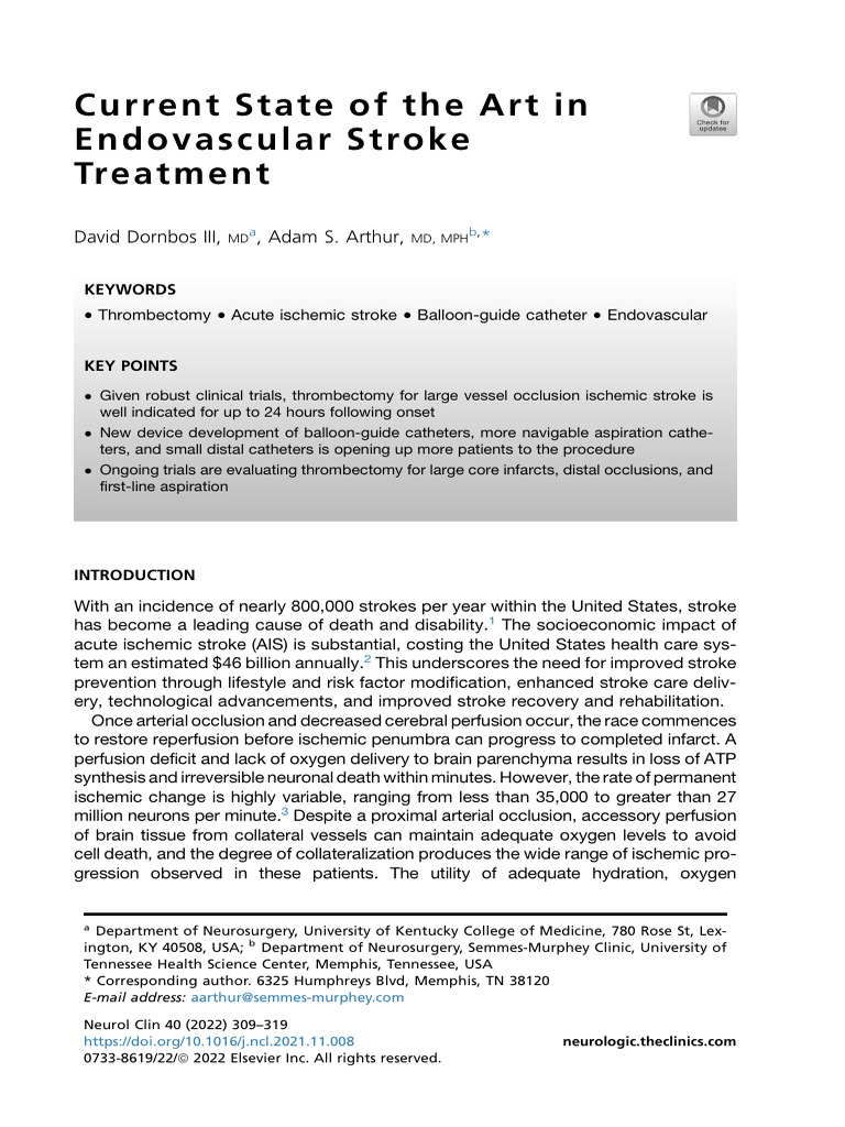 2022-endovascular-stroke-treatment-pdf