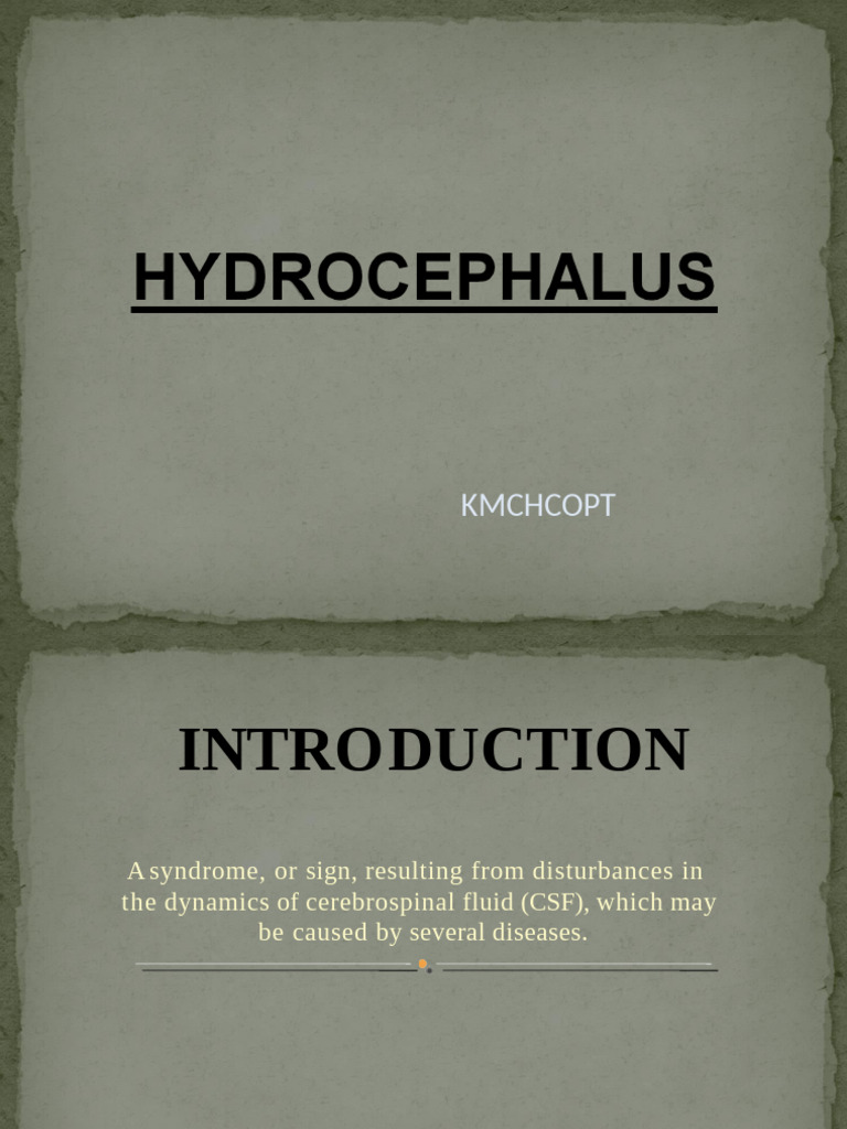 Hydro Cep Hal Us Presentation | PDF