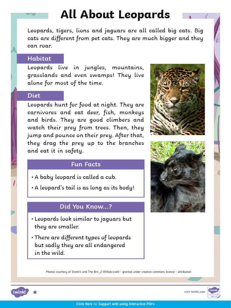 Leopard Facts and Habitat Guide | PDF | Leopard | Science & Mathematics
