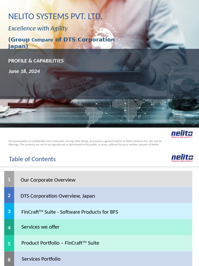 Nelito Systems Pvt. Ltd. Overview | PDF | Banks | Business