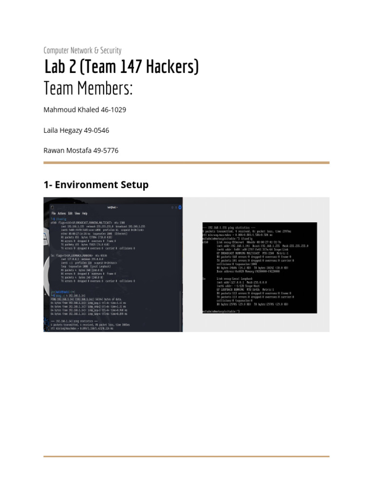 Security Lab 2 Report | PDF