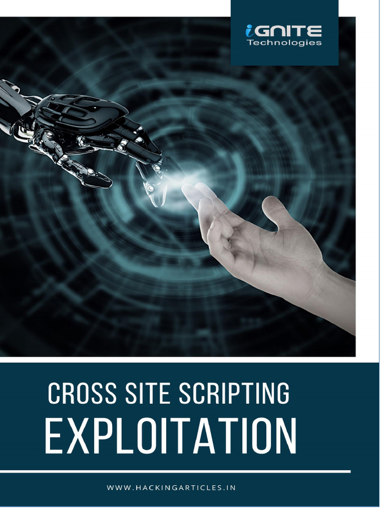Bug Bounty Training Program (Online) | PDF