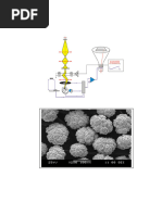 Comparaison MEB et MET en microscopie | PDF | Microscopie électronique ...