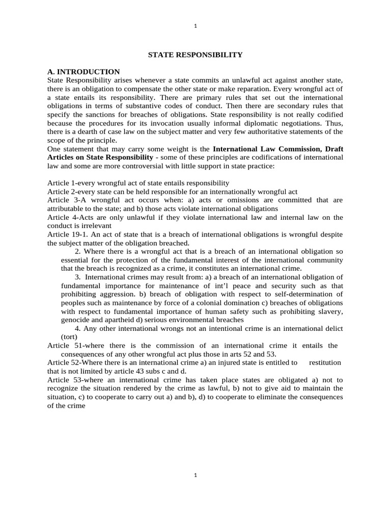 State Responsibility | PDF | Public Law | Justice