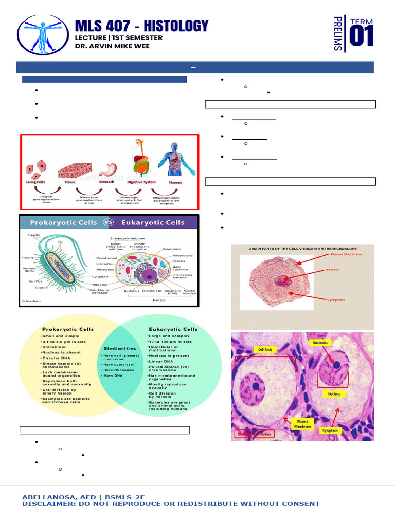The Cell (Trans 2) | PDF