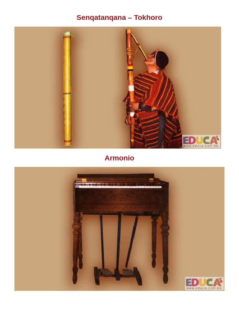 Instrumentos | PDF