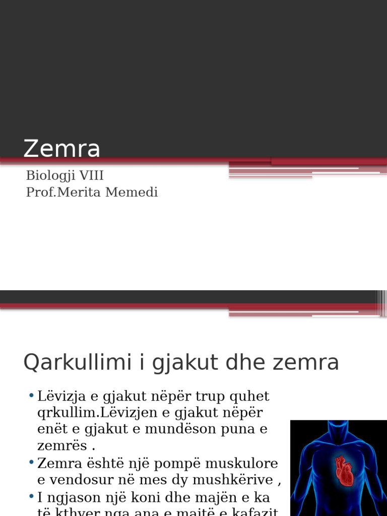 Zemra | PDF