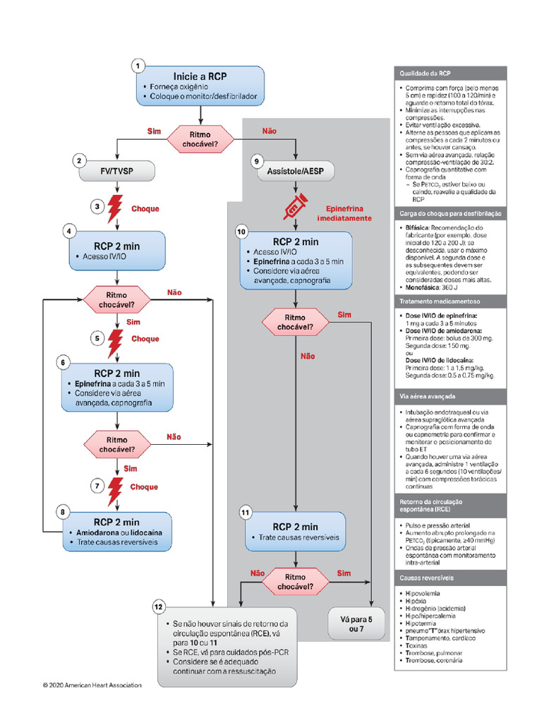 RCP Avançado | PDF