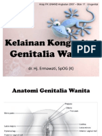 4. Kelainan Kongenital Genitalia Wanita