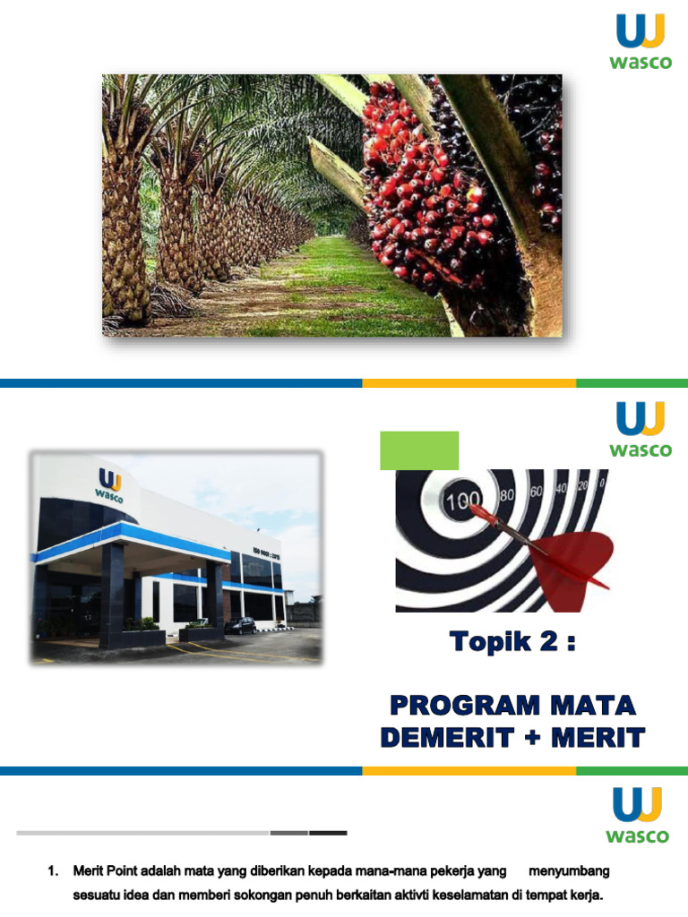 Merit & Demerit Enforcement System | PDF