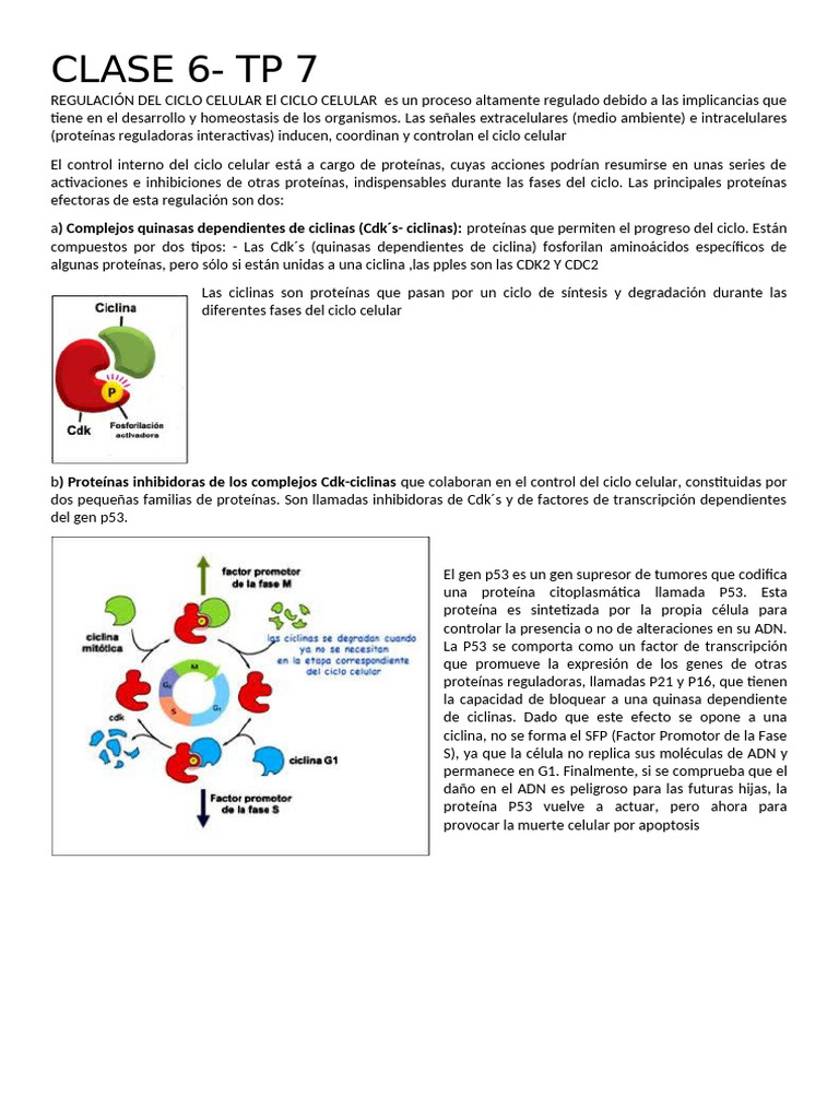 Clase 6, TP 7 | PDF