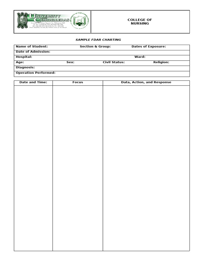 FDAR Blank | PDF