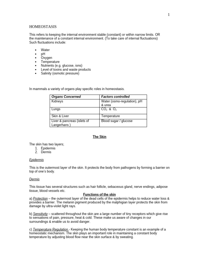 Homeostasis | PDF
