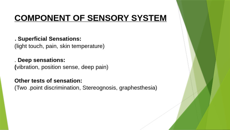 Component of Sensory System: Superficial Sensations | PDF