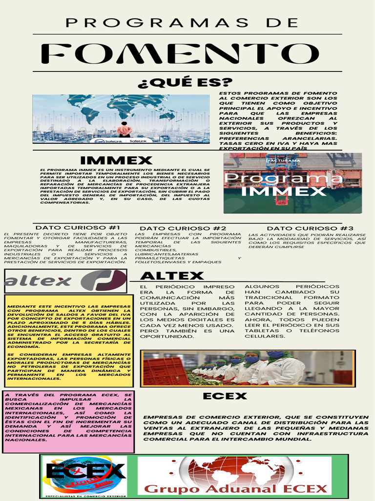 Programas de Fomento Comercio | PDF