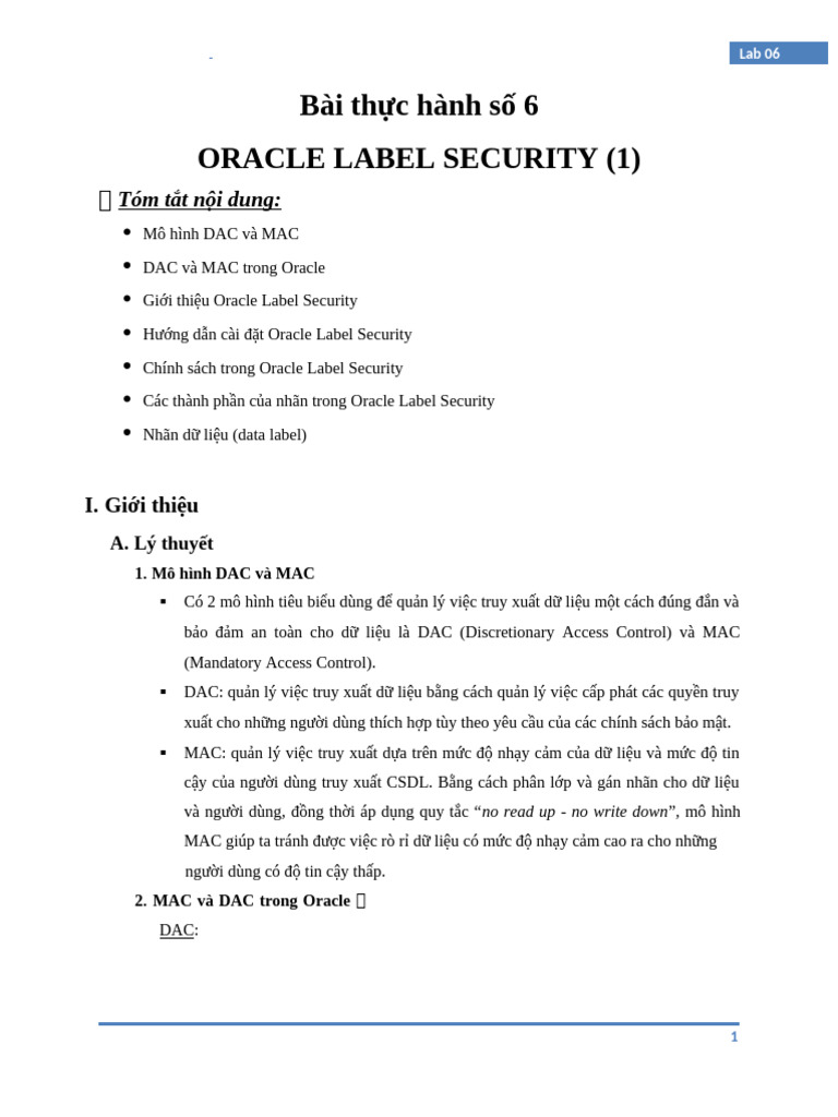 Oracle Label Security Overview | PDF | Vietnam
