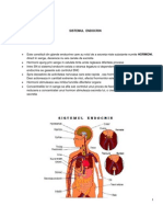 Sistemul Endocrin