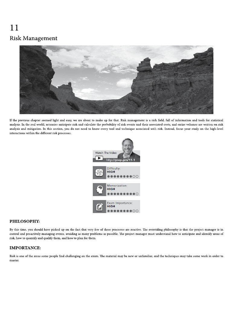 11 Risk Management | PDF
