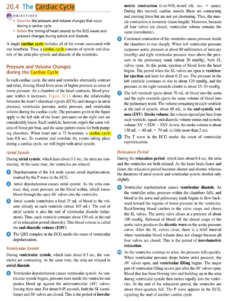 Adobe Scan 14 Oct 2024 | PDF