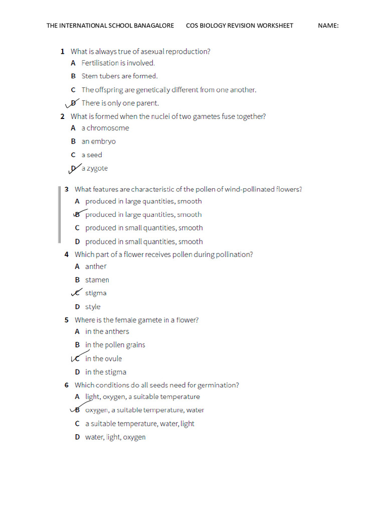 0654 Solved Worksheet | PDF