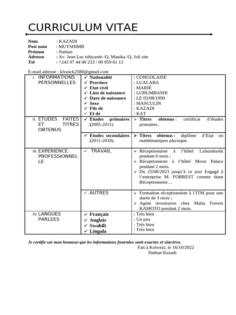 CV Nathan KZD | PDF