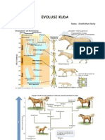 Evolusi Kuda dari Hyracotherium