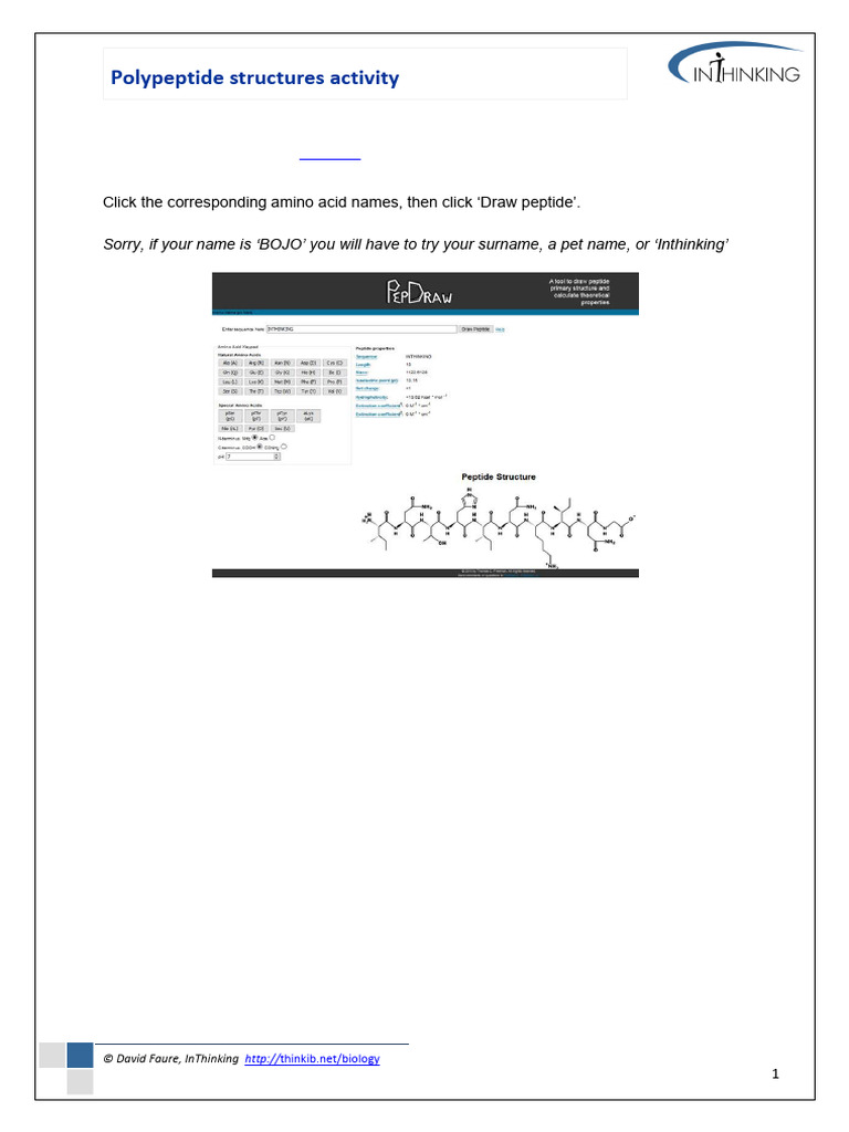 Polypeptide Activity Diagram | PDF