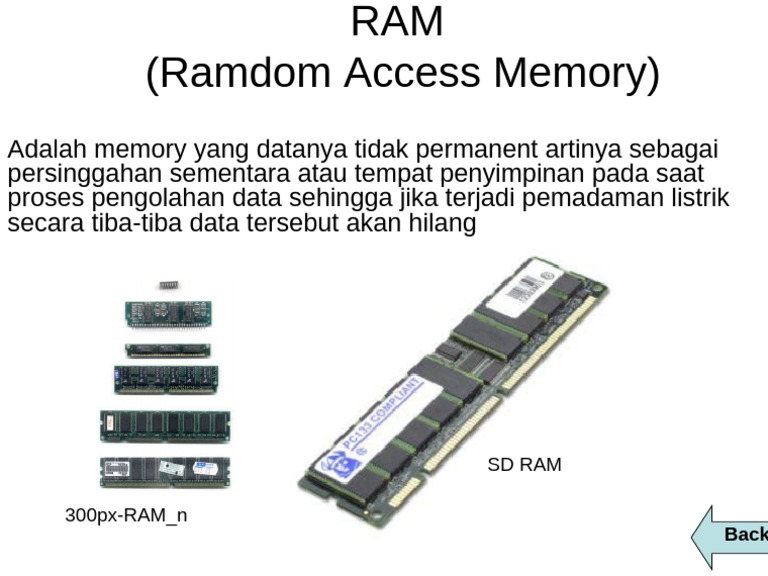 SD Ram | PDF