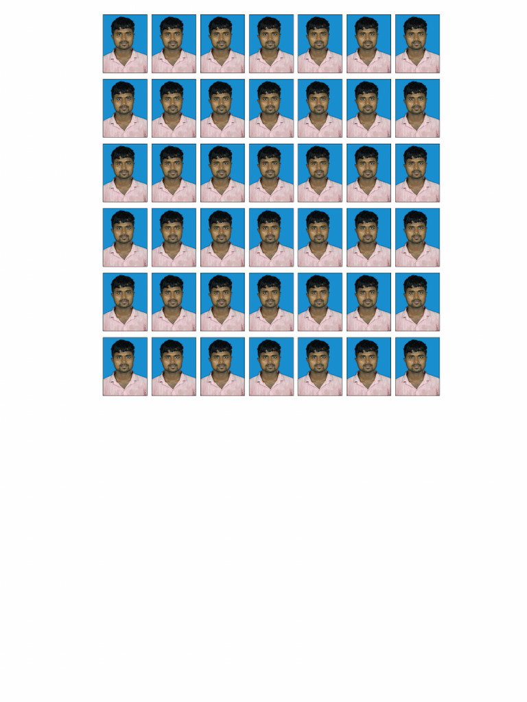 Passport Size Photo Formate | PDF