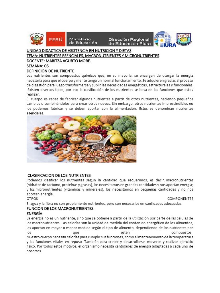 Clasificación y Función de Nutrientes | PDF | Nutrientes | Carbohidratos
