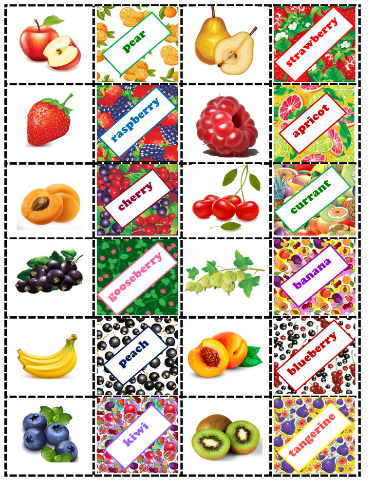 Domino Biology Diagrams