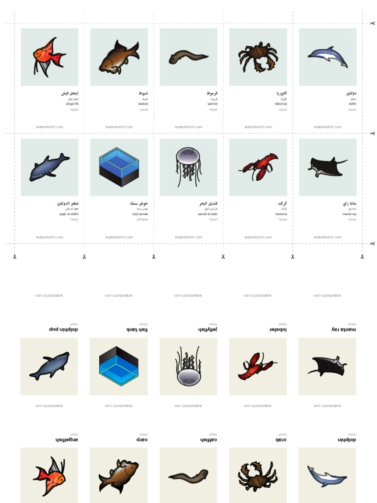 Arabic Aquarium | PDF