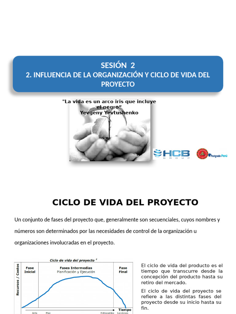 SESION 2 GER. PPROY. ORG. CICLO DE VIDA PDF