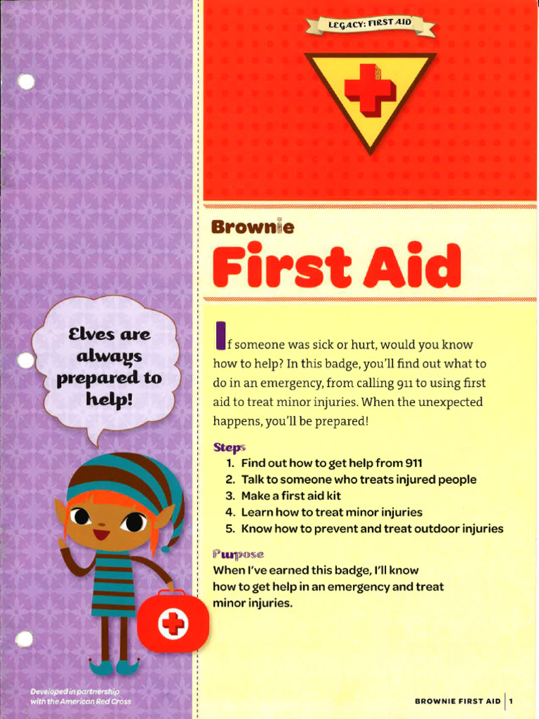 brownie-first-aid-badge-requirements-pdf